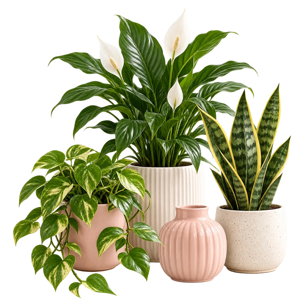 🌸 باقة روائح البيت